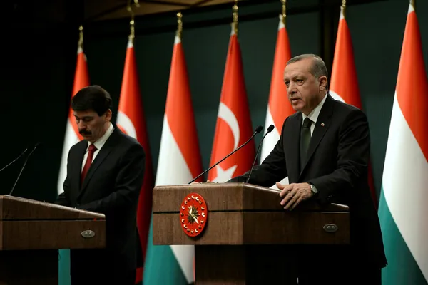 Başkan Erdoğan'ın Macaristan ziyaretinin önemi - 1