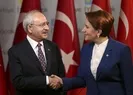 Millet İttifakı’nda HDP krizi