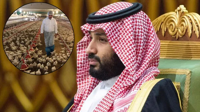 Suudi Arabistan’dan skandal Türkiye kararı: Hayvani ürün ithalatını askıya aldı