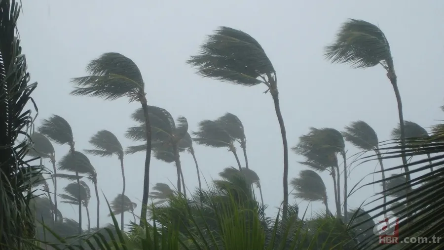 50,5 derece sıcaklık, 280 cm kar! 2025’in illere göre hava raporu ortaya çıktı 3