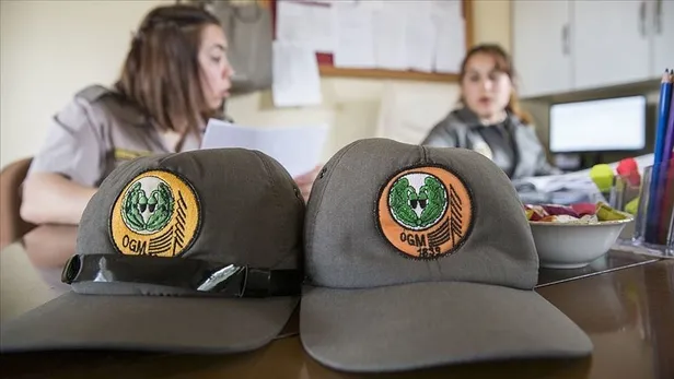 OGM 7 il için ilan yayımladı! 2021 Orman Genel Müdürlüğü personel alımı başvuru ne zaman? Şartlar ve kadro dağılımı...