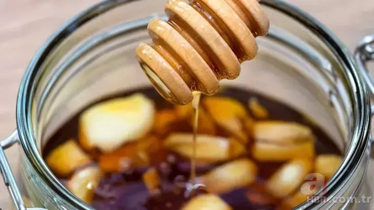 Kolesterol, tansiyon, kanser... Faydasını duyunca avuç avuç yutacaksınız: İbn-i Sina'nın asırlık reçetesi! 3