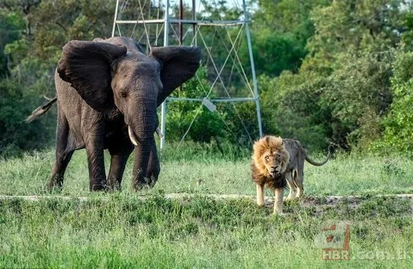 Bilim insanları geliştirdi! Artık uzaydan sayılabilecekler