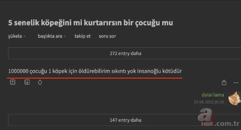 Ekşi Sözlük skandalı bitmek bilmiyor! 'Bir çocuğu mu kurtarırsınız yoksa bir köpeği mi?' sorusuna mide bulandıran cevaplar 16