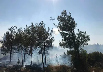 Son dakika: İzmir'de orman yangını