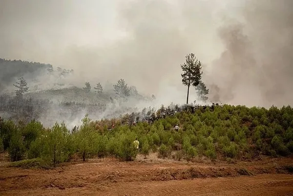 pkknin-kirli-plani-ortaya-cikti-sucu-devlete-atacaklardi-1702290338917.jpeg PKK’nın kirli planı ortaya çıktı! Suçu devlete atacaklardı - 3