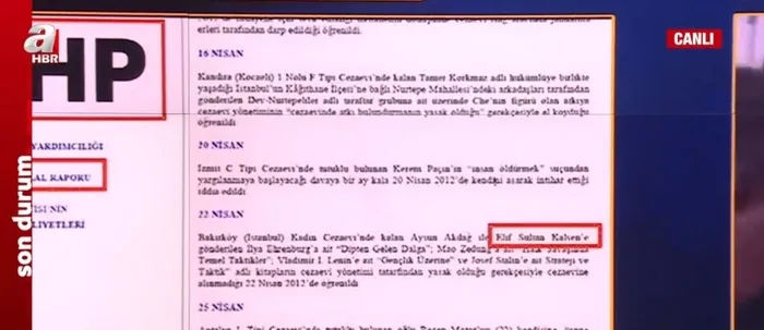 İşte HDP- PKK ve CHP’ye uzanan terör yapılanması! Mersin'deki saldırıda yer alan Dilşah Ercan sonrası... - 10
