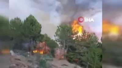 Çorum’da orman yangını