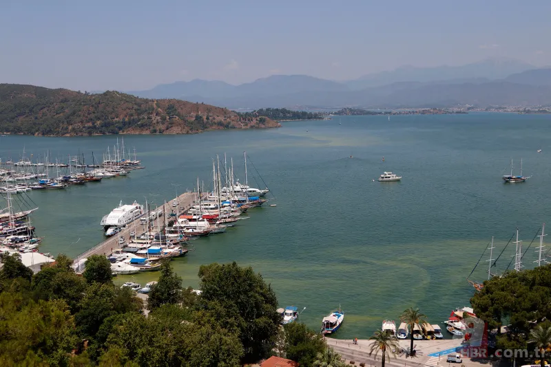 Fethiye Körfezi'nde alarm! Sarı ve yeşile büründü 5