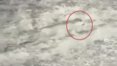 İlk kez bu kadar net görüntülendi