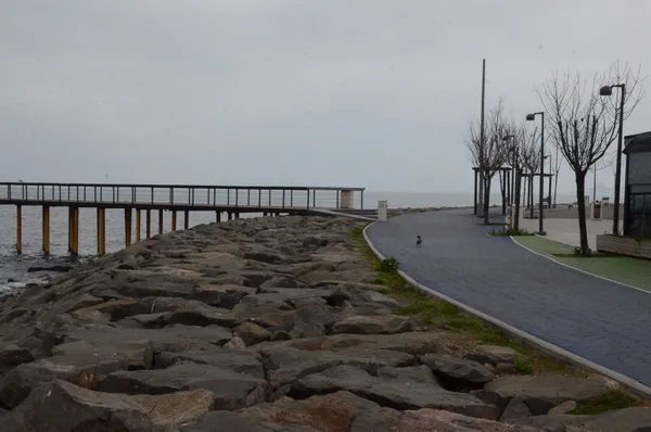 İçişleri Bakanlığı açıklama yaptı! Sokağa çıkma kısıtlamasında 32 bin adli ve idari işlem yapıldı