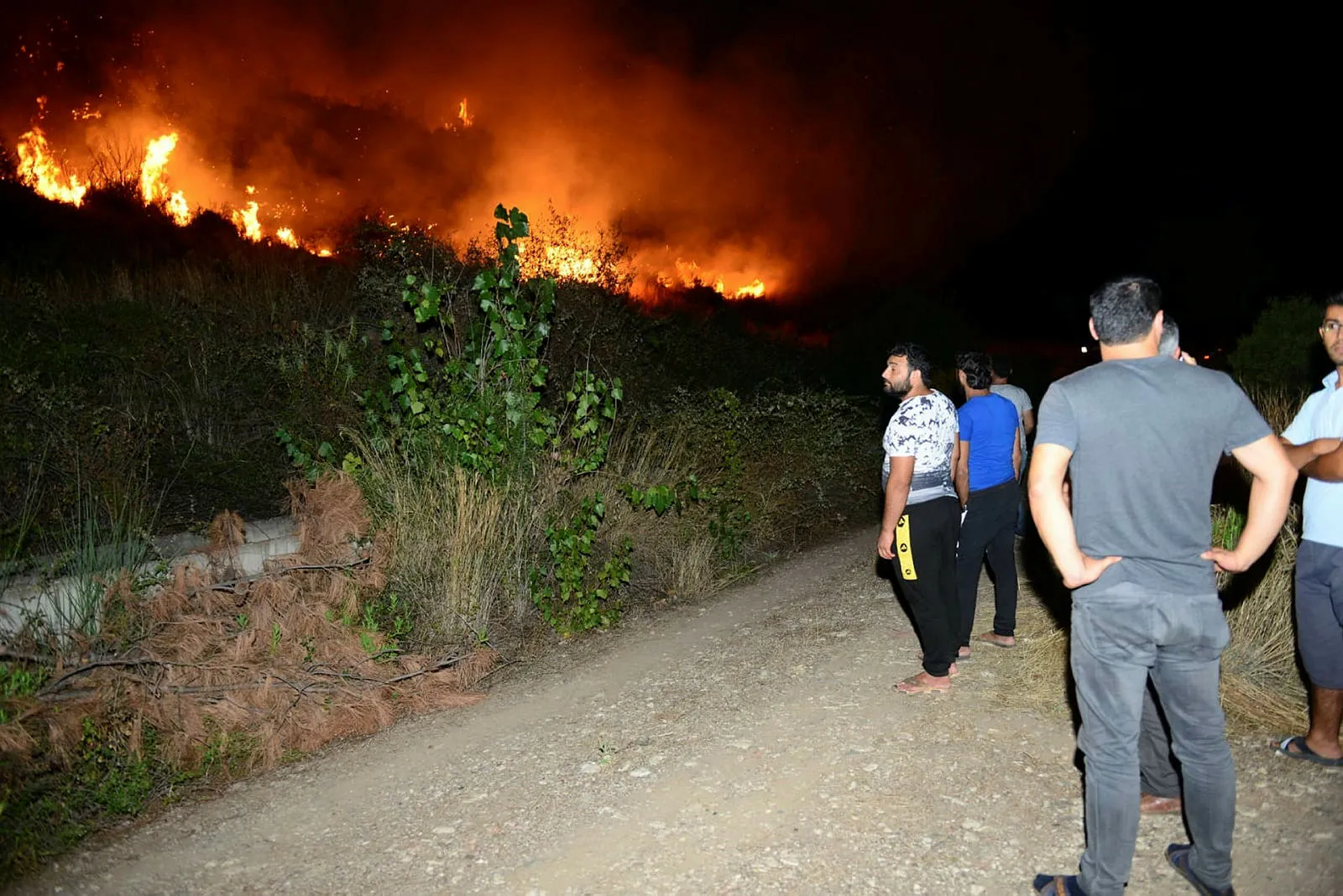 Antalya'da makilik yangını