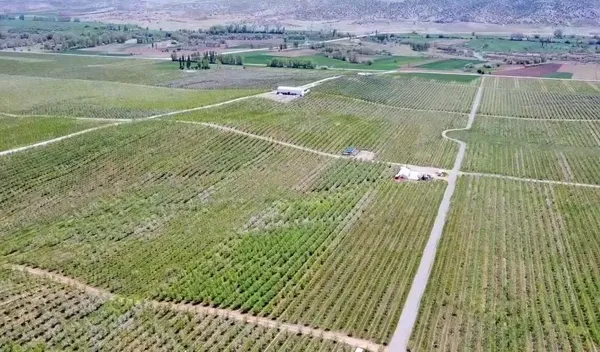 issizligi-bitiren-koy-il-ve-ilcelerden-goc-aliyor-1664962419959.jpg İl ve ilçelerden akın akın göç alıyor! Her şey 12 yıl önce başladı - 6
