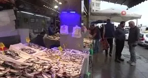 Hamsi palamudu ihracatta solladı
