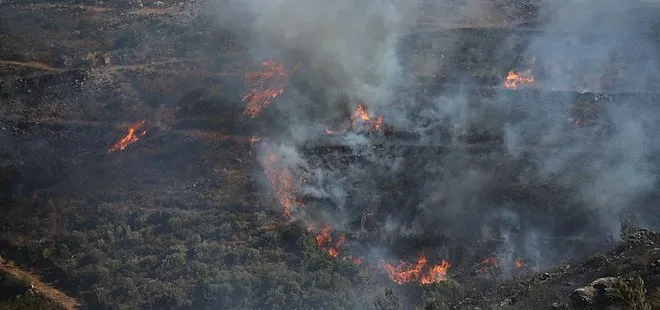 OGM’den orman yangınlarıyla ilgili flaş açıklama: Hepsi kontrol altında