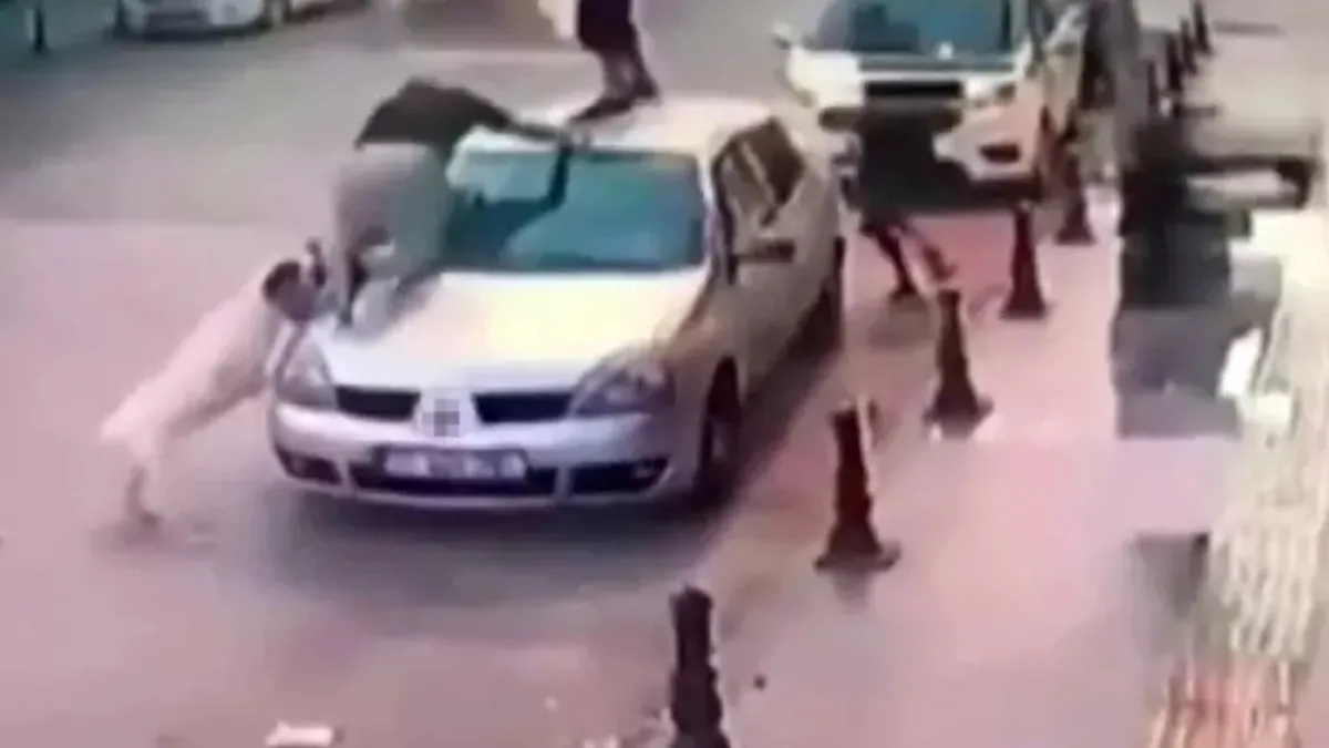 Başıboş köpekleri sokağa bırakmak katliama davetiye! Son yıllarda ölümler arttı | İşte vahşet tablosu