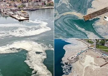 Marmara Denizi'nde ekolojik zarar! Müsilaj neden önlenemiyor?