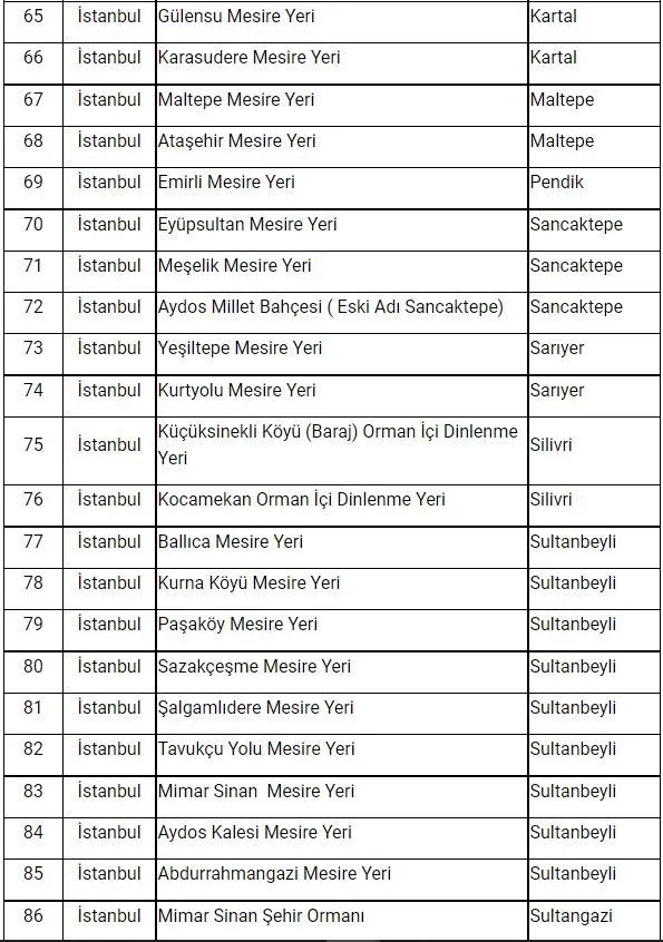 İstanbul’da ormanlara giriş yasak mı? Giriş yasağı olan ormanlar hangileri? İşte mangal yasağı olan ilçeler...