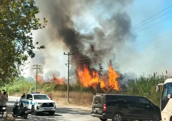 Antalya'daki orman yangınına ilişkin bir şüpheli gözaltına alındı