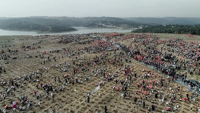 Birleşmiş Milletler Gıda ve Tarım Örgütü raporu belli oldu! Türkiye ağaçlandırmada Avrupa'da birinci oldu - 5