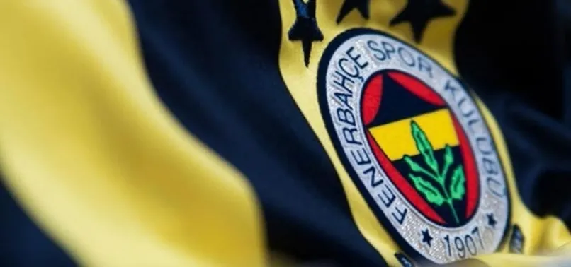 Fenerbahçe'nin yeni hocası Mario Been mi olacak?