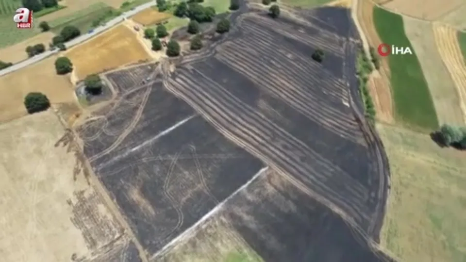 150 dönümlük tarım arazisi kül oldu