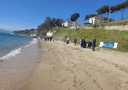 Sinop'ta sahil temizliği