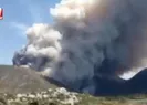 Marmaris’te orman yangını