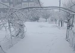 Bitlis'te 84 yerleşim yeri ulaşıma kapandı