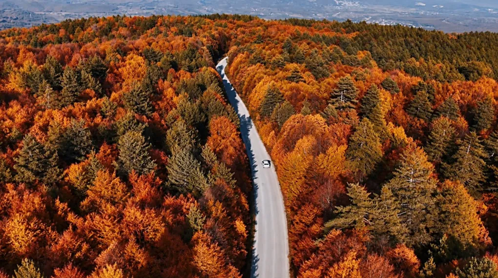 Yurtta sonbahar manzarası
