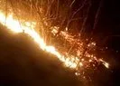 Osmaniye’de orman yangını