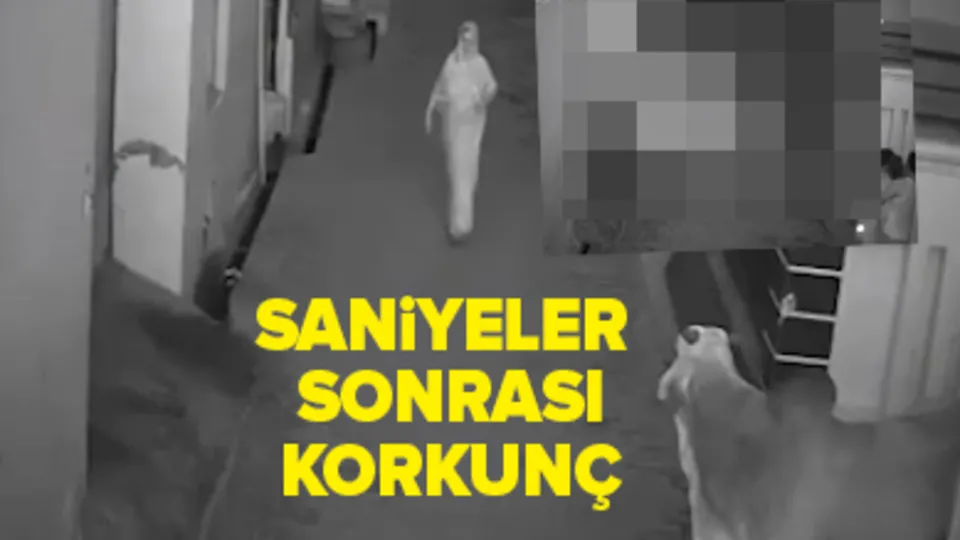 İnek sokak ortasında dehşet saçtı! Saniyeler sonrası korkunç