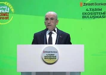 Enflasyonda tarihi gerileme! Bakan Şimşek açıkladı