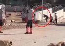 Konyadaki vahşette flaş gelişme