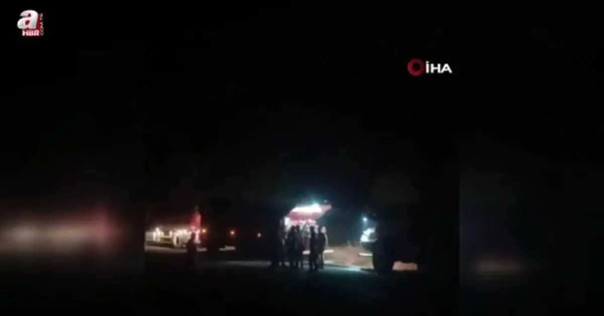 Malatya'da orman yangını