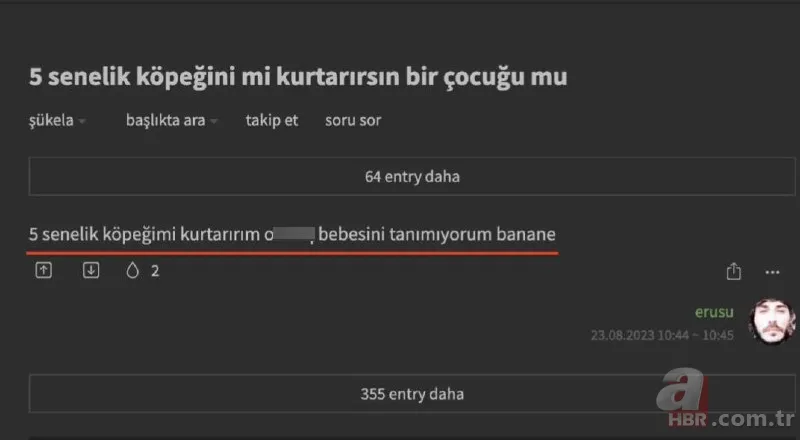 Ekşi Sözlük skandalı bitmek bilmiyor! 'Bir çocuğu mu kurtarırsınız yoksa bir köpeği mi?' sorusuna mide bulandıran cevaplar 17