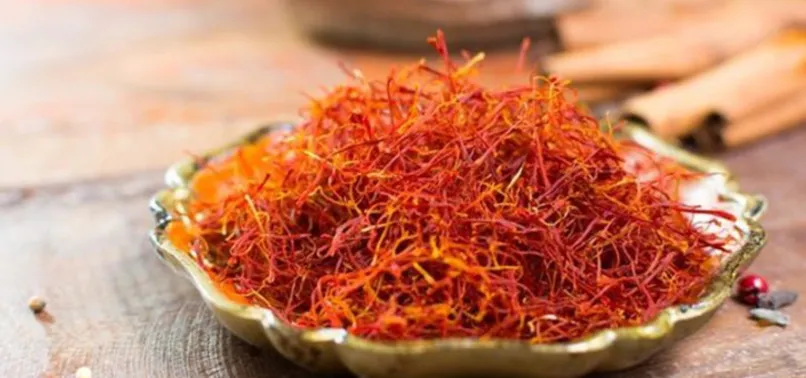 En kalitelisi Türkiye'de üretiliyor, kilosu 30 bin TL! Safranın faydaları nelerdir, nasıl kullanılır?