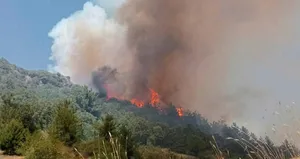 Osmaniye’de orman yangını! Kırmızı alarm