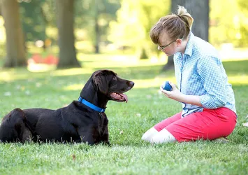 Fransa'da bir bölgede köpeklerin havlaması yasaklandı