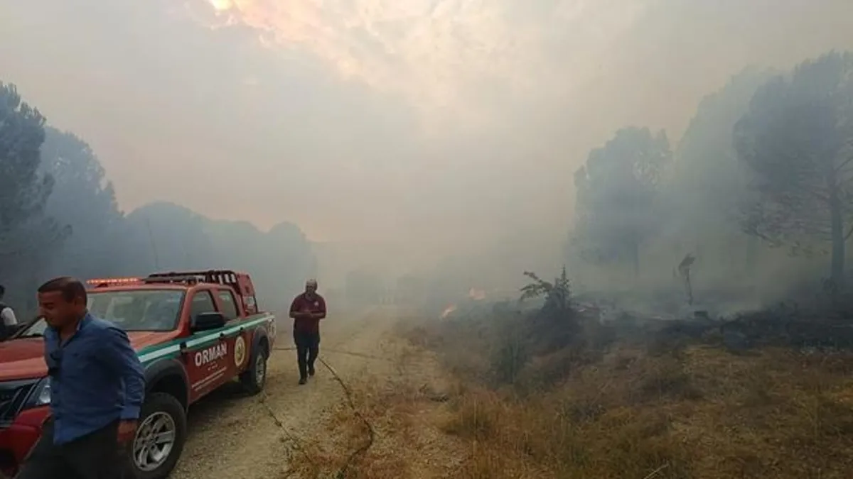 Çanakkale’de çıkan orman yangını kontrol altına alındı