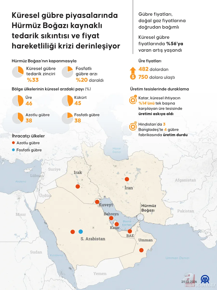 Savaşın yeni cephesi sofra: Gübre fiyatları tarımını sarsıyor, küresel gıda krizi kapıda 6