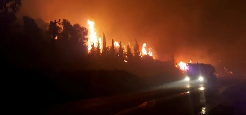 Son Dakika Izmir Menderes Te Orman Yangini