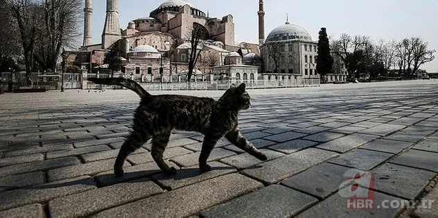 SON DAKİKA: Yılbaşı yasakları ne zaman başlıyor? 4 günlük sokağa çıkma kısıtlaması hangi gün başlayacak? 4