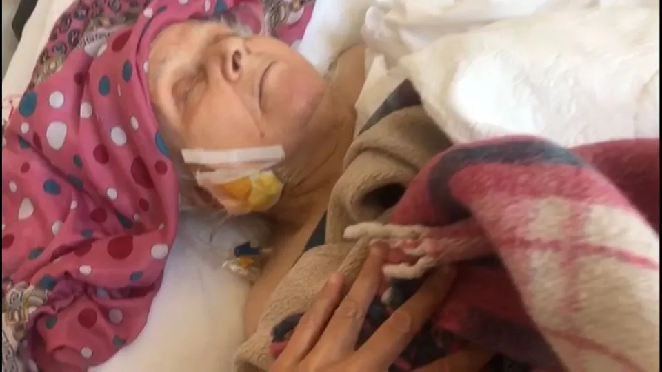 82 yaşındaki kadına pitbull saldırdı: Resmen annemi yedi