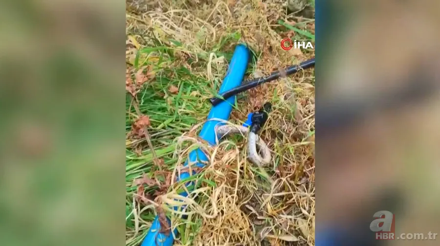 Tıkanan su borusundan çıkan şoke etti! 1 buçuk metrelik... 3