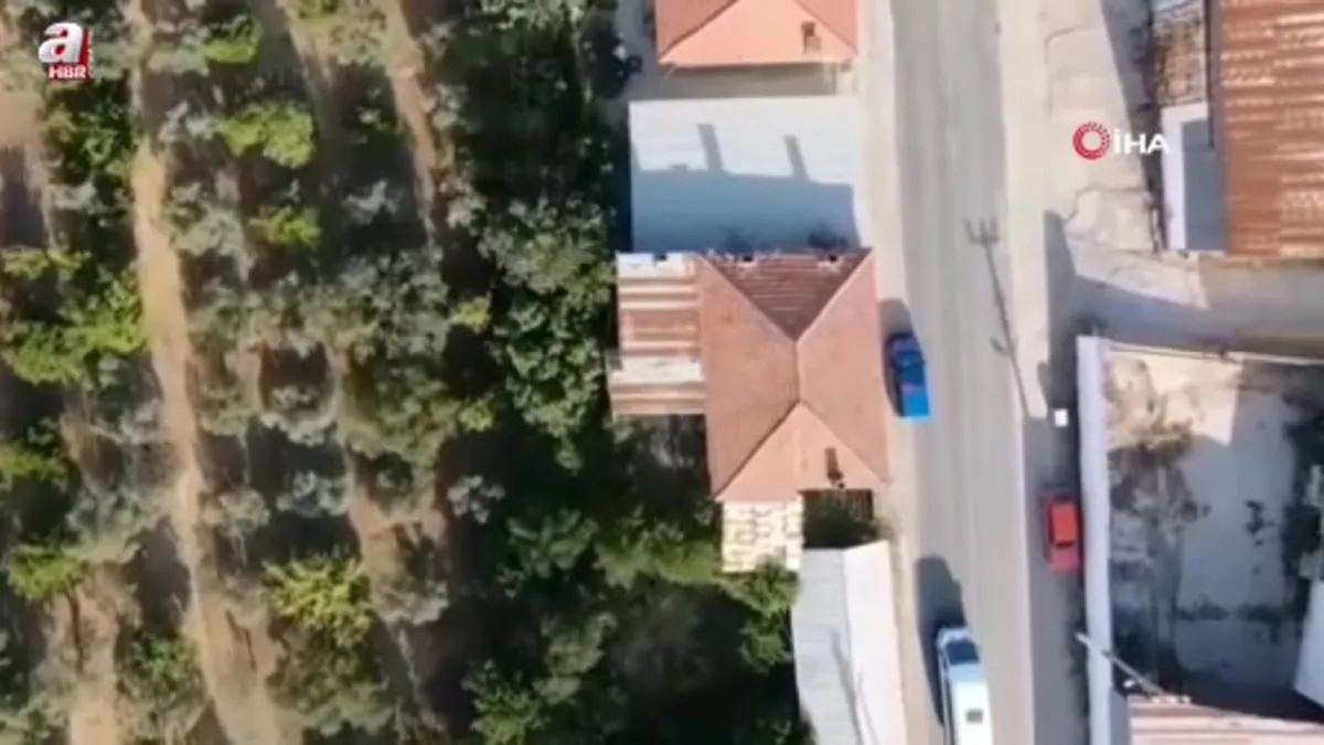 Aydın’ın Kuyucak ilçesinde uyuşturucu baskını