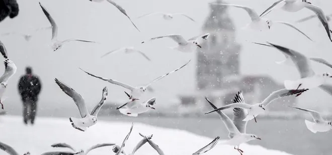 Kara kış geldi ❄️ Beyaz örtüyle kaplanacaklar | Meteoroloji uyardı: Pazar gününe dikkat | Zemheri etkili olmaya başlıyor