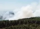 İstanbul’da ormanlık alanda yangın