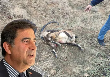 İYİ Parti Konya milletvekili Ünal Karaman'a kaçak av cezası