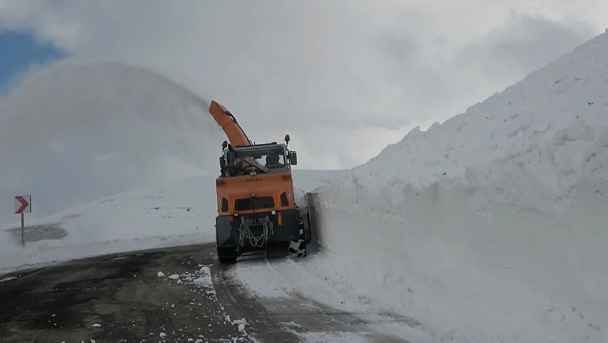 Doğu Karadeniz ve Doğu Anadolu için çığ tehlikesi uyarısı: 7 Mart'a kadar sürecek